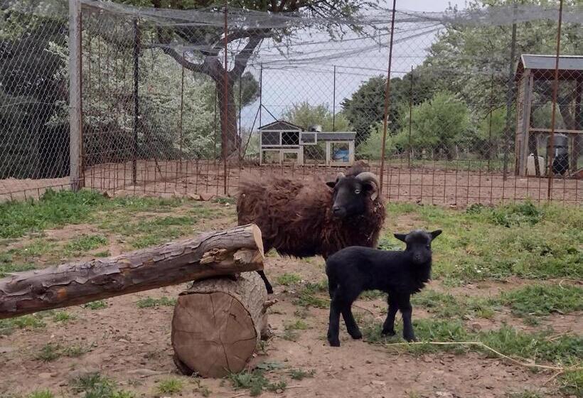 בית מלון כפרי Agriturismo Bosco Pianetti