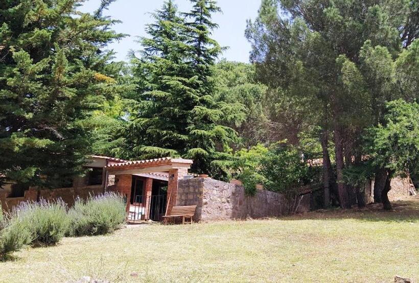 בית מלון כפרי Agriturismo Bosco Pianetti