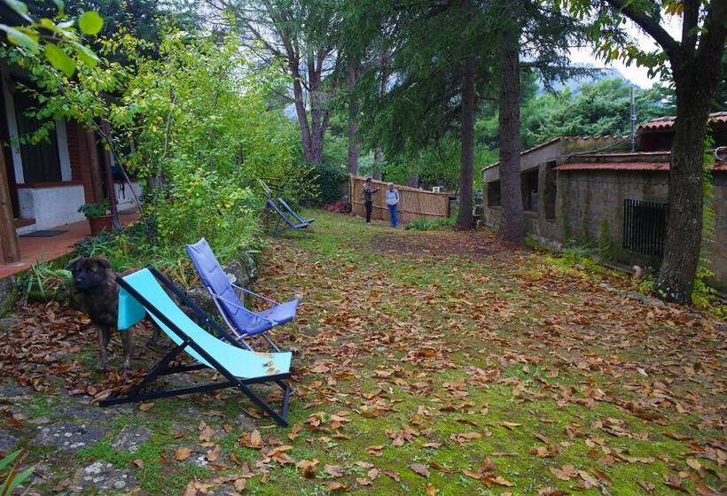 בית מלון כפרי Agriturismo Bosco Pianetti