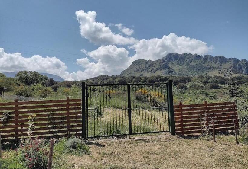 בית מלון כפרי Agriturismo Bosco Pianetti