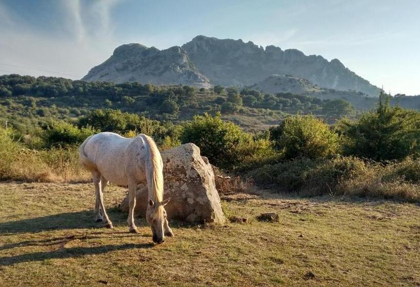 בית מלון כפרי Agriturismo Bosco Pianetti