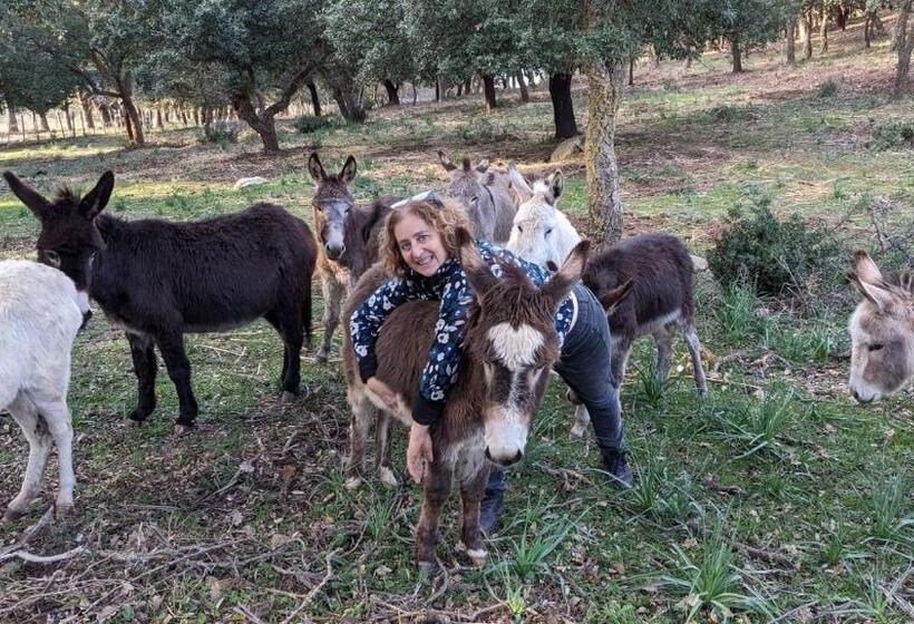 בית מלון כפרי Agriturismo Bosco Pianetti