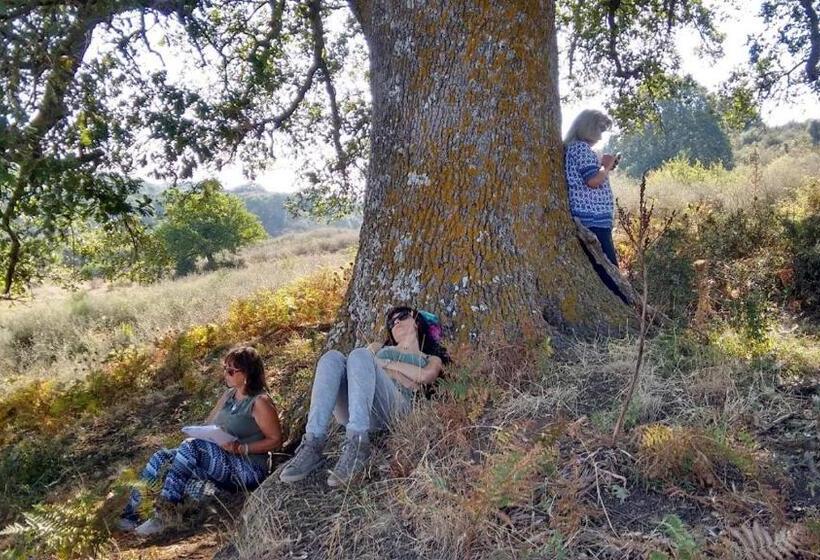 בית מלון כפרי Agriturismo Bosco Pianetti