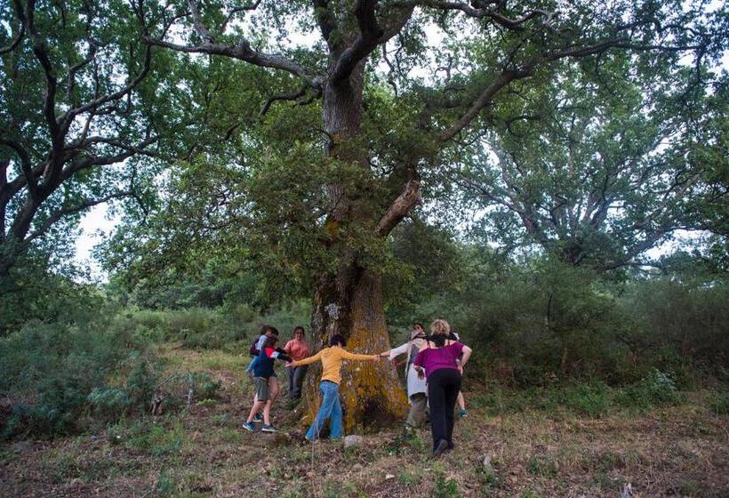 בית מלון כפרי Agriturismo Bosco Pianetti