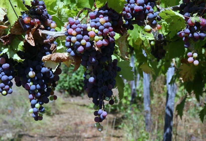 Сельский отель Villa Cheti