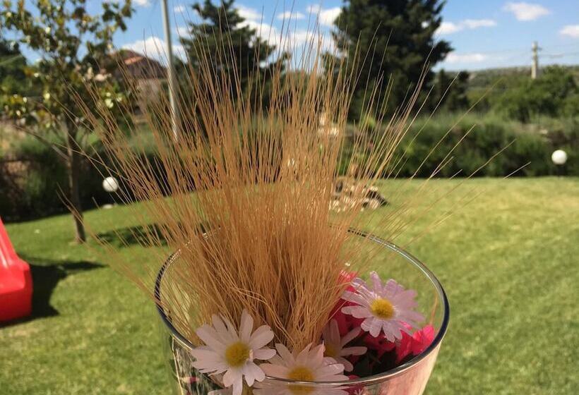 乡村酒店 Agriturismo Villa Gaia