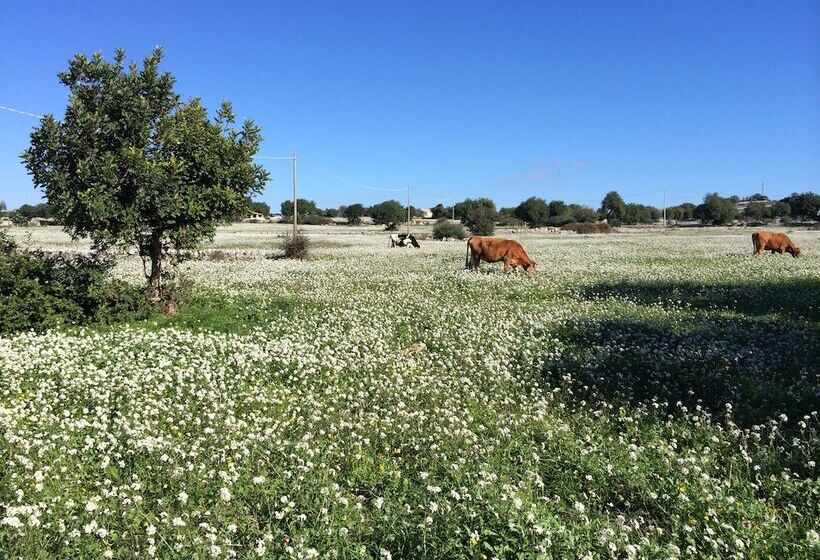 교외 호텔 Case Di Cutalia   Villa Cutalia
