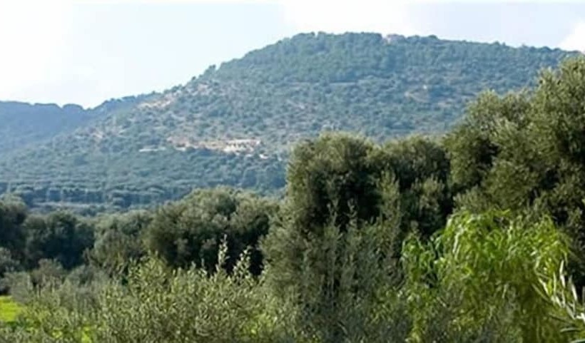 田舎風ホテル L Antico Trullo   Masseria Chiancarella