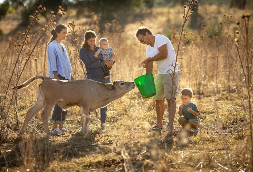 בית מלון כפרי La Pescaia Resort