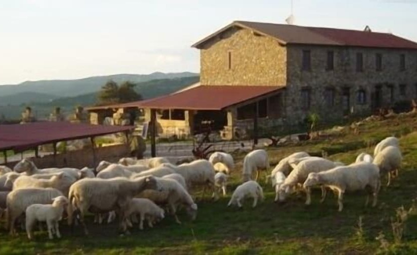 Пансион Agriturismo Pian Dei Lupi