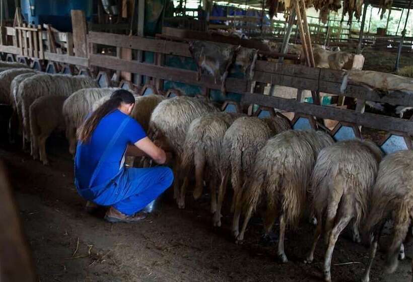 Пансион Agriturismo Pian Dei Lupi