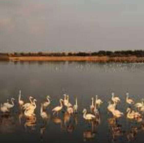 Пансион B&b Elisir