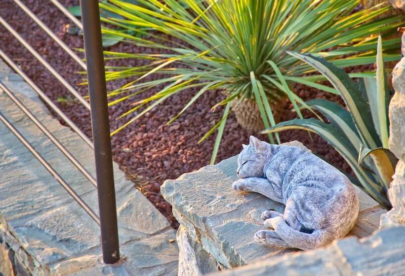 پانسیون Crêuza De Mä