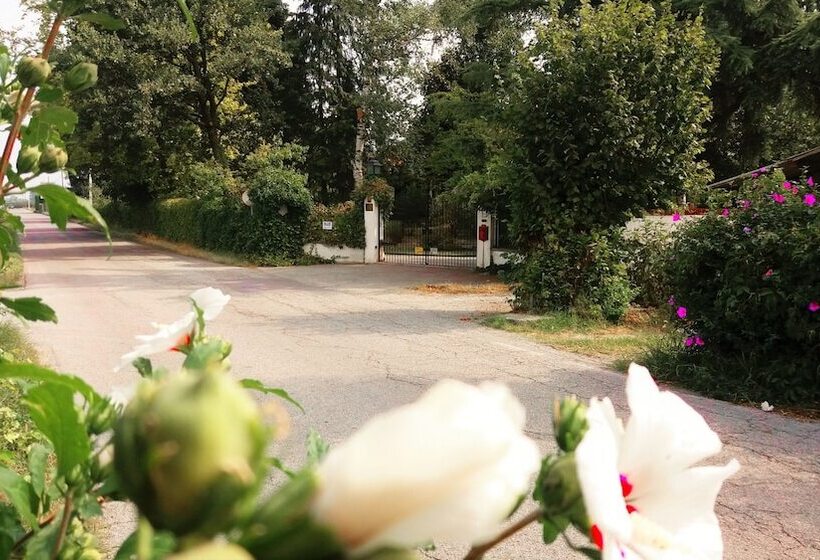 ベッドアンドブレックファースト Villa Maria Sole