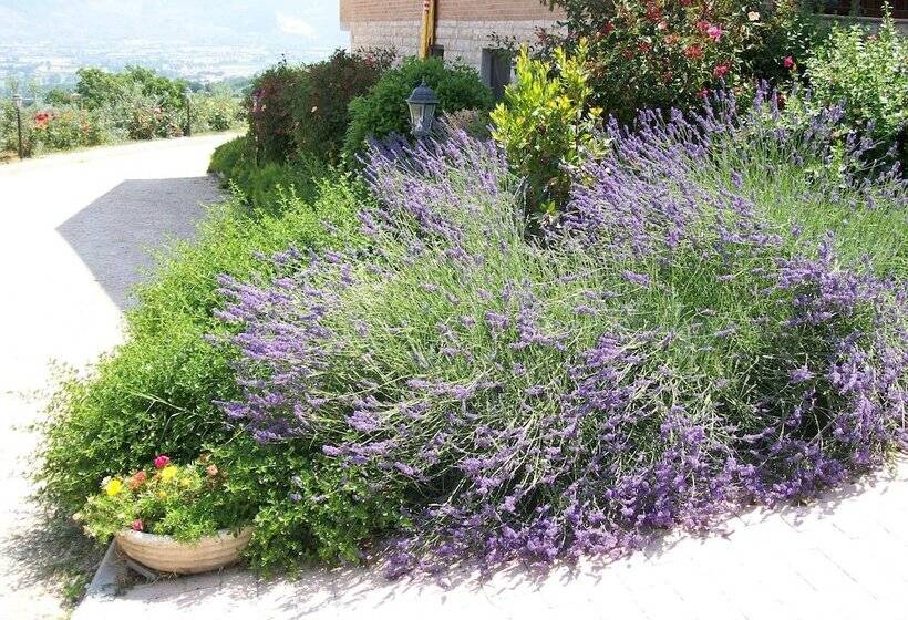 민박 La Collina Del Sagrantino