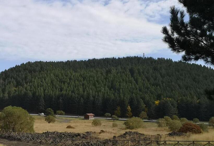 ベッドアンドブレックファースト Casa Degli Ulivi Etna