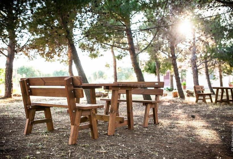 Bed and Breakfast Villa Delle Palme