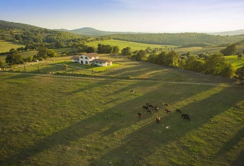 مسافرخانه Pietriccio Rosso