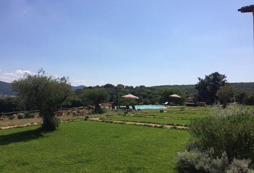 مسافرخانه Pietriccio Rosso