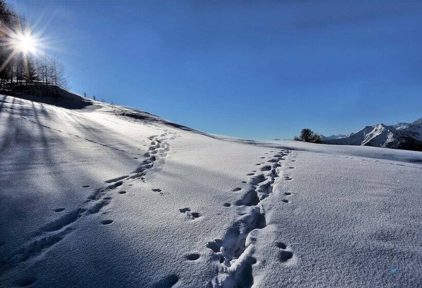בית מלון כפרי Dalailama Village