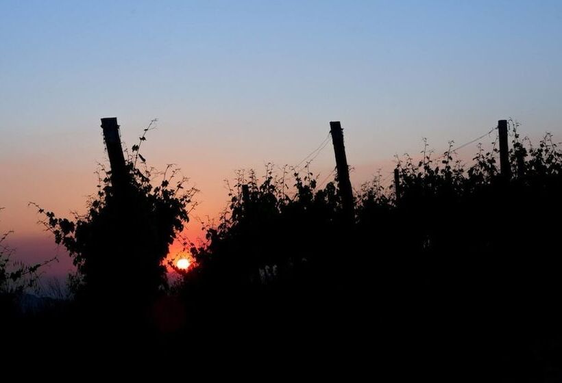 田舎風ホテル Agriturismo Castello Di Bucignano