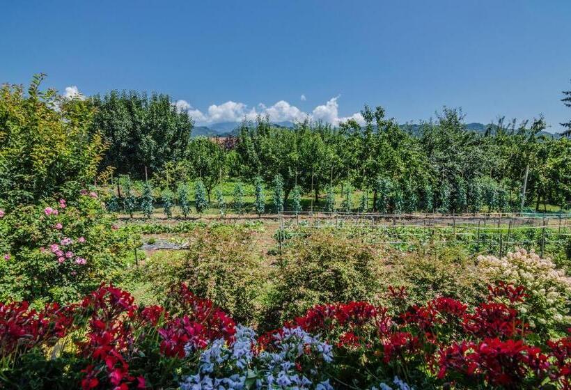 فندق ريفى Agriturismo Chioi