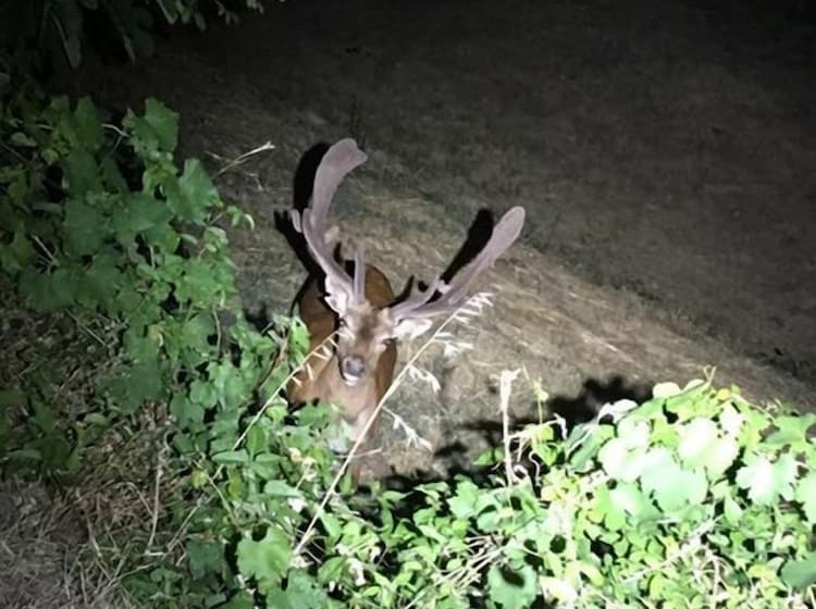 Сельский отель Borgo Tramonte