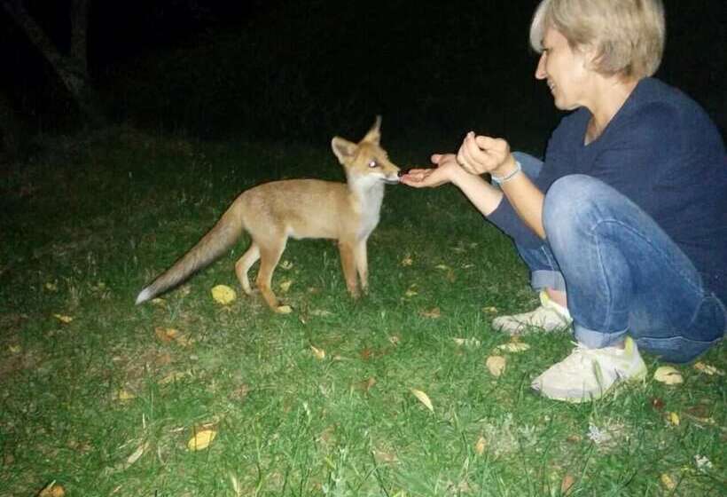 Сельский отель Borgo Tramonte