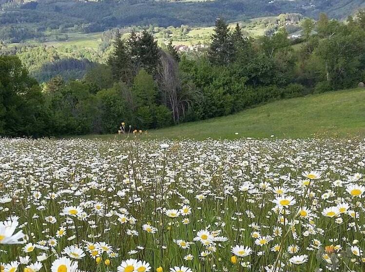 Сельский отель Borgo Tramonte
