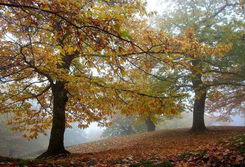 Сельский отель Borgo Tramonte