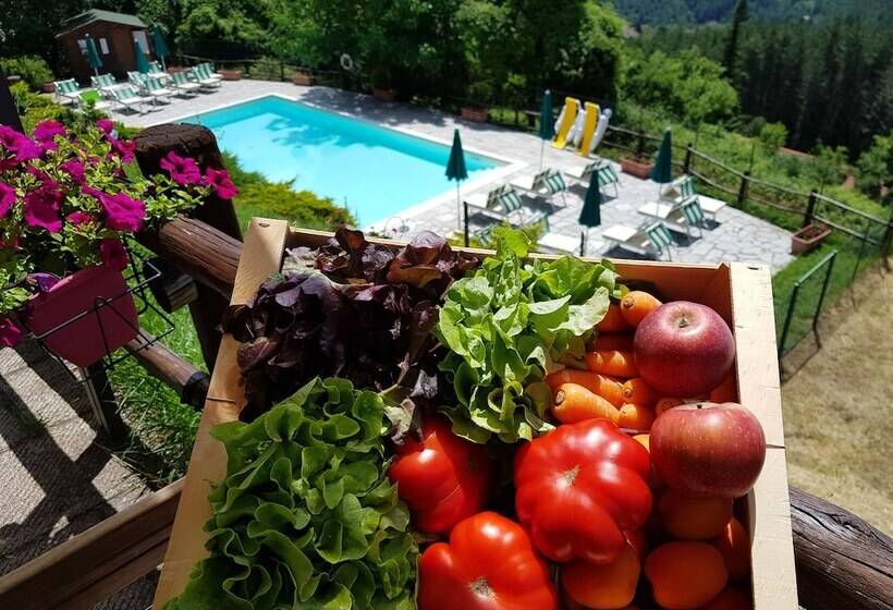 Сельский отель Borgo Tramonte