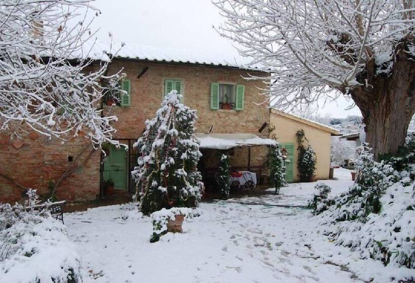 Сельский отель Tenuta Il Pino