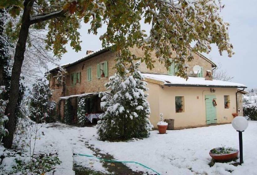 Сельский отель Tenuta Il Pino