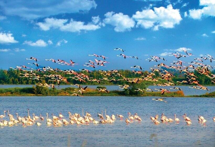 فندق Villaggio Barricata