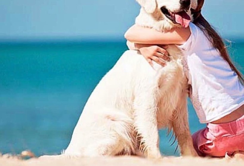 فندق Villaggio Barricata