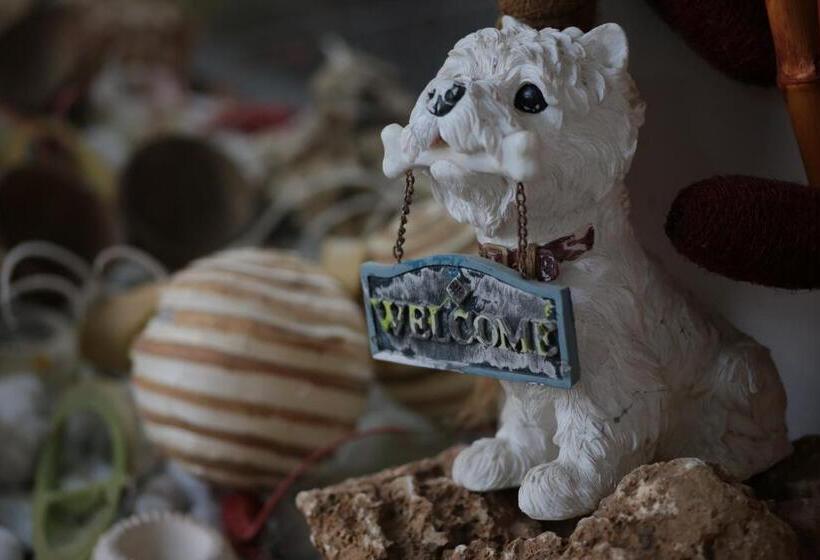 膳宿费 Bnb Notte Stellata