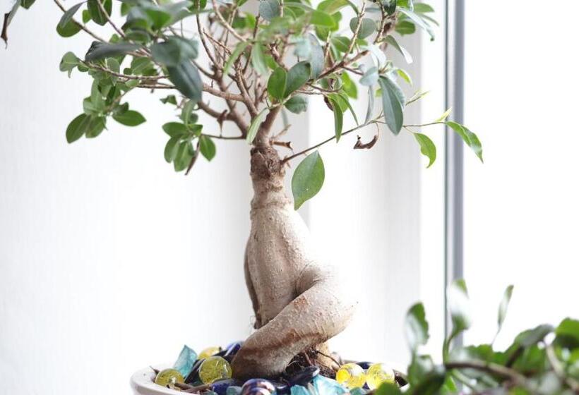 膳宿费 Bnb Notte Stellata