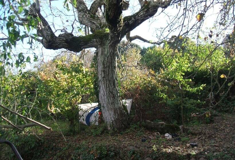 צימר Su Cantaru Guesthouse