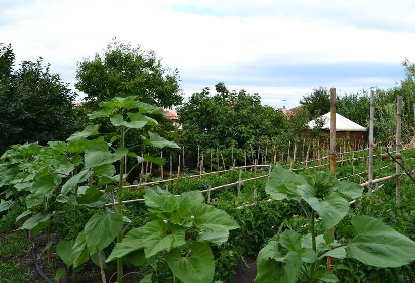 צימר Su Cantaru Guesthouse