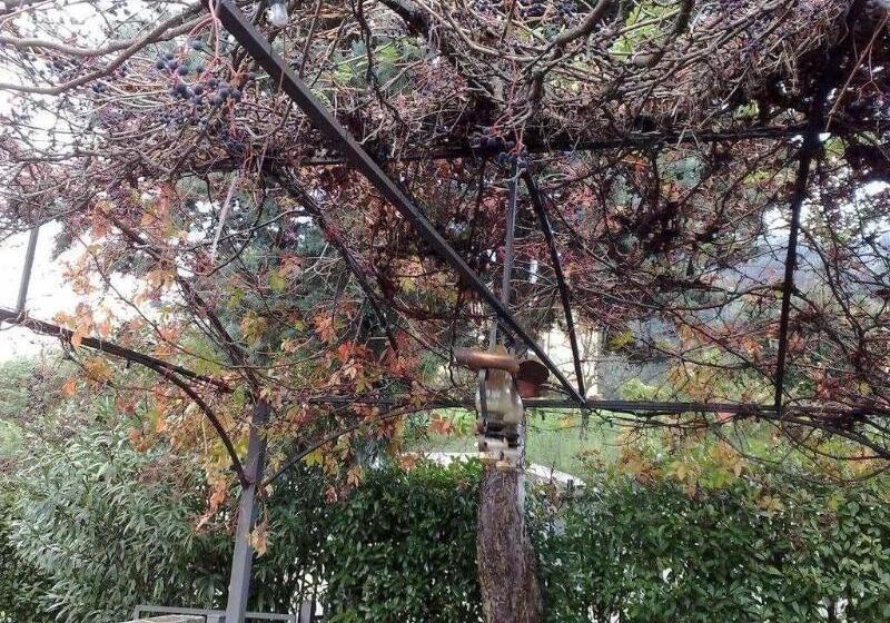 住宿加早餐  Villa Stefy