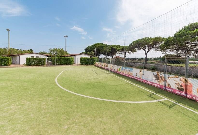 客栈 Nicolaus Club Alimini Smile