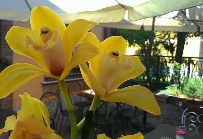 여관 Nuovo Hotel Moderno