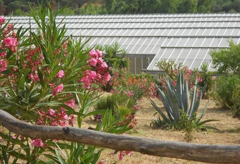 酒店 Agriturismo Alba Chiara