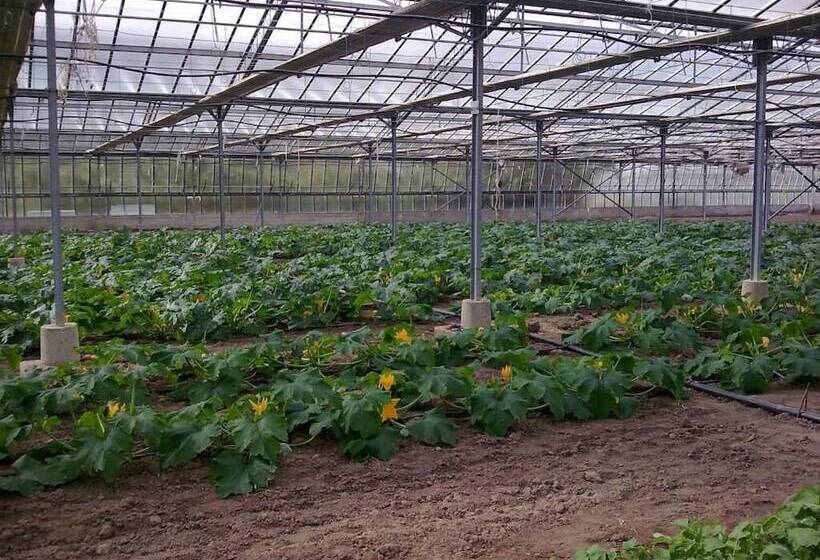 בית מלון כפרי Agriturismo Alba Chiara