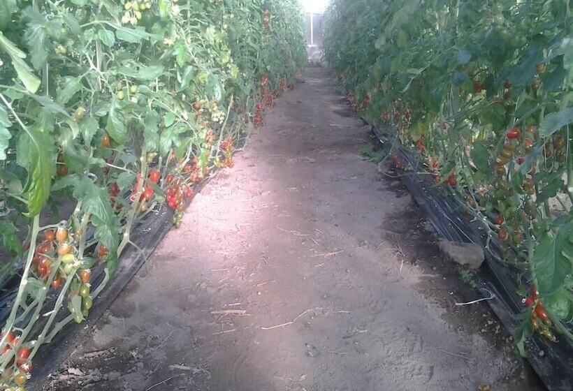 בית מלון כפרי Agriturismo Alba Chiara