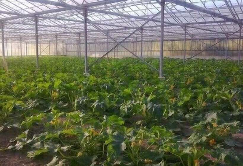 בית מלון כפרי Agriturismo Alba Chiara