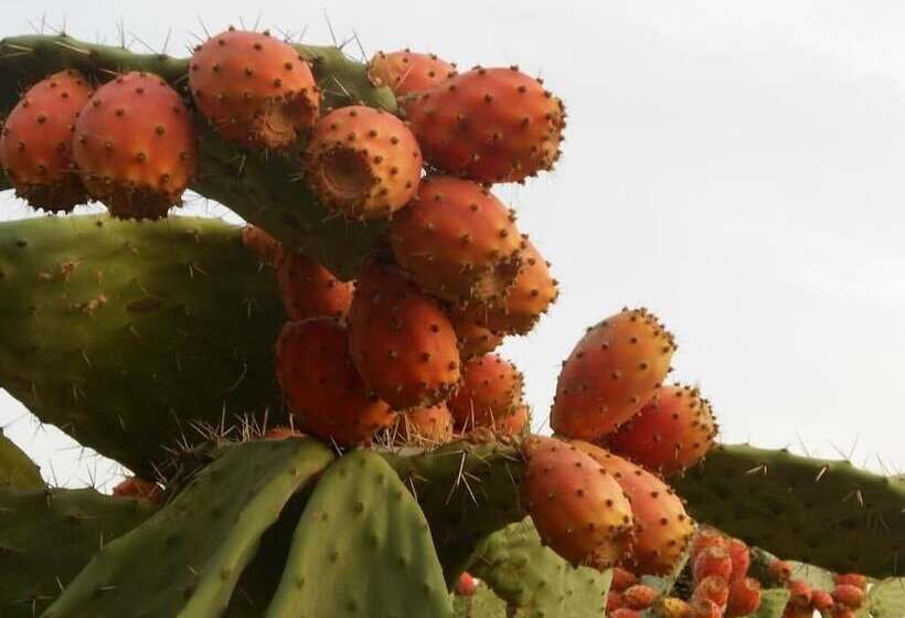 בית מלון כפרי Agriturismo Alba Chiara