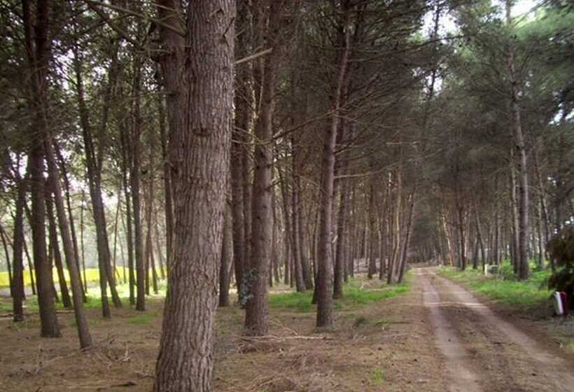 호텔 Club Villaggio Magic Garden   Campground