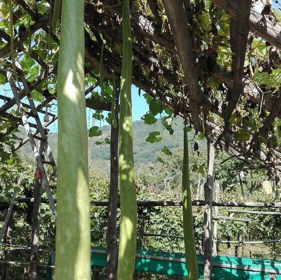 فندق ريفى Agriturismo Mare E Monti