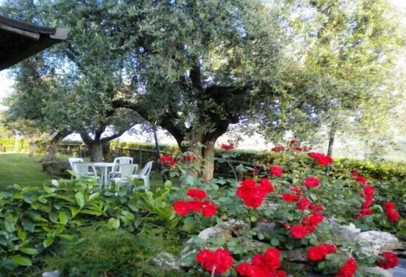 استراحتگاه Il Girasole Country Village